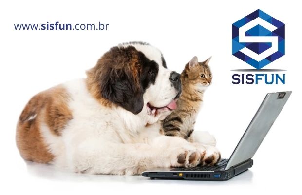 o-mercado-de-planos-de-assistencia-funeral-para-pets-todas-funerarias