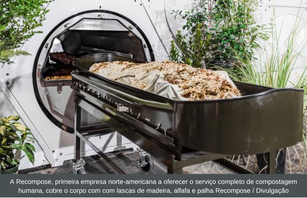 Países começam a autorizar a compostagem humana como solução para os mortos Todas Funerárias