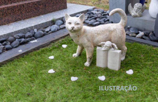 Em Campinas SP-Cemitério de humanos agora podem receber corpos de animais de estimação (1)